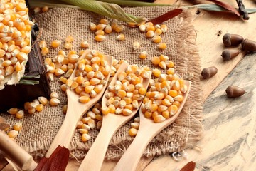 Canvas Print - Yellow dry corn grain and corn fresh.