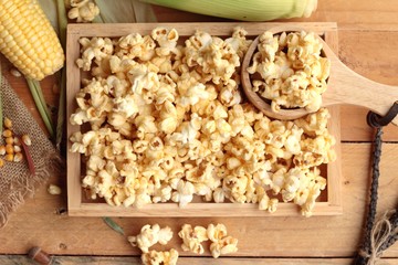 Popcorn and yellow dry corn grain with fresh corn.