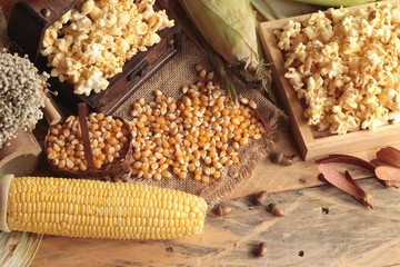 Canvas Print - Popcorn and yellow dry corn grain with fresh corn.