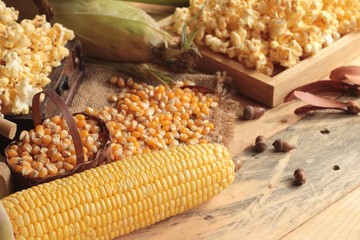 Canvas Print - Popcorn and yellow dry corn grain with fresh corn.