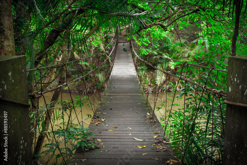 Naklejka most w dżungli   drewniany-most-do-dzungli
