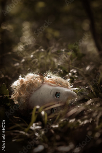 A doll's head lying in the middle of a path of a dark forest Poster