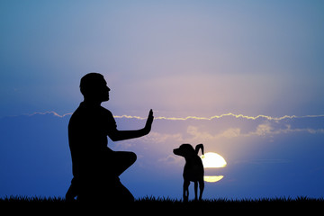 Wall Mural - man training dog at sunset