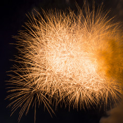 firework isolated on black background, sumida river firework fes