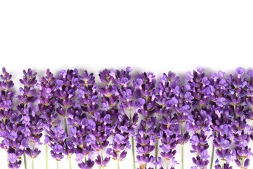 Fotomurales - Frame with lavender