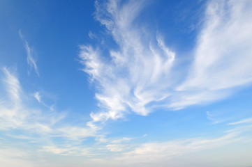 plumose clouds in the blue sky