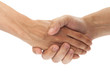 © yurchello108 - Handshake isolated on white