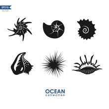 Ocean Creatures: Sea Snails, Shells, Mollusks