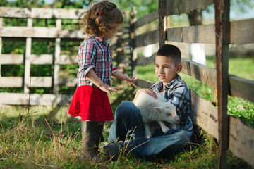 Wall Mural - boy and girl with lamb on the farm