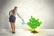 © ra2 studio - Business woman watering a growing green dollar sign tree