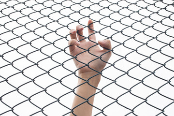 closeup of hand in jail