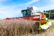 © Wolfgang Jargstorff - Combine harvester at rape harvest