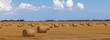 © shaunwilkinson - panorama shot showing lots of hay bales in lincolnshire field.