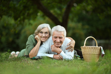 Canvas Print - Amusing old couple  in summer park