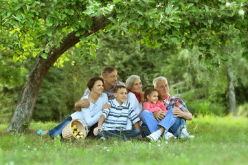 Poster - Family resting in  summer park