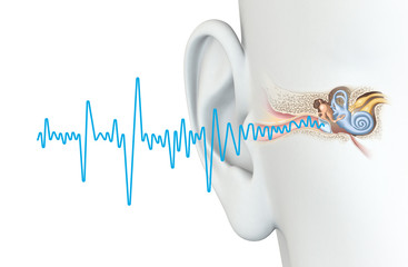 Human ear anatomy with soundwave, medically accurate 3D illustration 