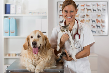 Veterinary clinic