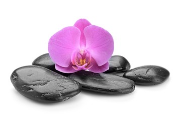 spa concept with zen basalt stones and orchid isolated on white background