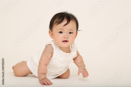 Fototapeta ハイハイする女の子の赤ちゃん