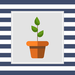 Poster - Potted plant