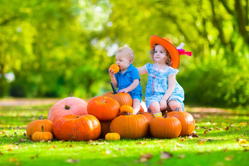 kids at halloween pumpkin patch