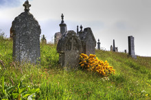 Wildflowers In An Old Graveyard In Scotland