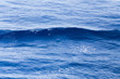© Cosmic Dust - Wave in the ocean