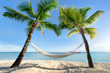 canvas print picture - Urlaub am Palmenstrand in der Karibik mit Hängematte