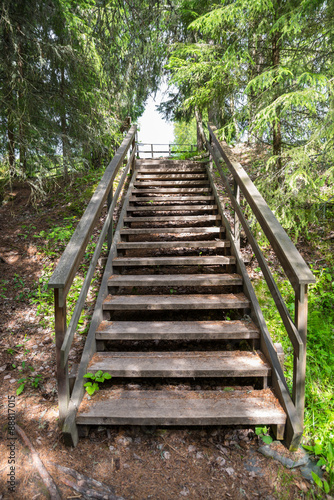 Naklejka na szybę staircase in the middle of nature