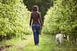 Woman strolling with an orchard Labrador