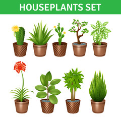 Sticker - Houseplants Realistic Icons Set 