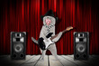 rockstar cat on stage with electric guitar and hat