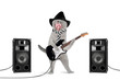 rockstar cat  with electric guitar and hat isolated on white background