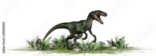 velociraptor-dinozaury-na-bialym-tle