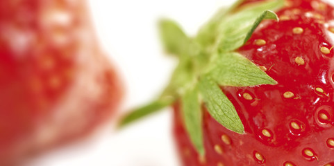 Wall Mural - strawberry macro