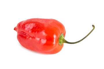 Wall Mural - Close-up of a whole ripe red habanero chili with a shadow, isolated on white background.