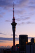 Auckland Sky tower on sunrise