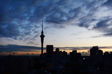 Wall Mural - Silhouette of Auckland skyline at sunrise