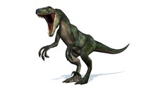 Velociraptor Dinosaurs - Isolated On White Background