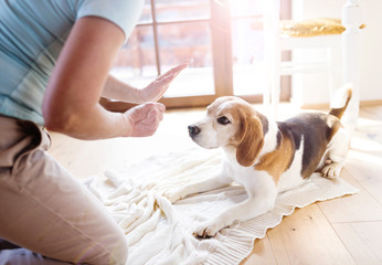 Senior woman with her dog