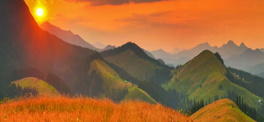 Wall Mural - summer mountains