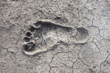 A Footprint Of Human On Dry Crack Soil Cause Drought