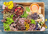 Herbal Medicine. herbs and flowers in basket. Top view, horizontal