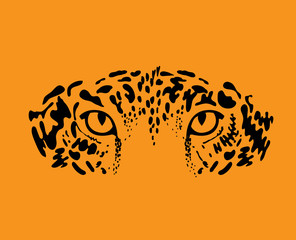 leopard, jaguar