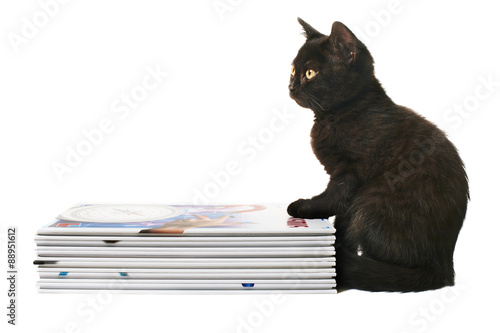 Black British Shorthair Kitten With Books Buy This Stock Photo