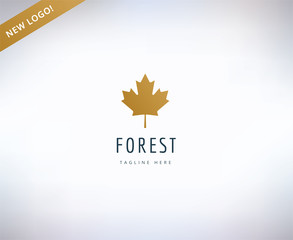 Canvas Print - Leaf from forest logo icon. Nature, spa or leafs and forest