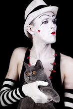 Mime With A Gray British Cat