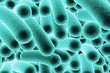 Microscopic illustration of bacteria, model of bacteria, realistic illustration of microbes, Escherichia coli, Klebsiella, Salmonella, Clostridium, Pseudomonas, Mycobacterium, Shigella, Legionella