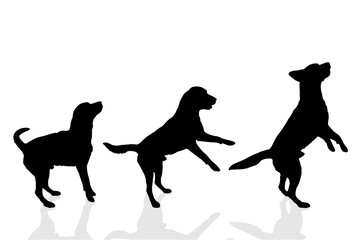 Sticker - Vector silhouette of a dog.