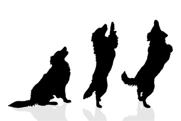 Sticker - Vector silhouette of a dog.